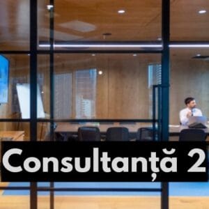 consultanta 2